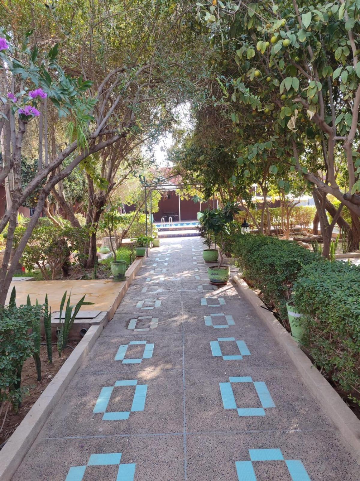 Riad Les Jardins Mabrouk Tarudant Kültér fotó